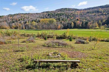 Undeveloped Land for sale in Windsor County, Vermont