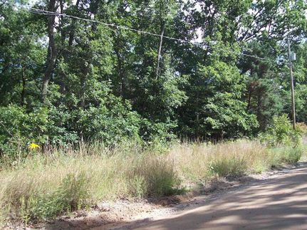 Homesite for sale in Clare County, Michigan