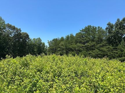 Undeveloped Land for sale in Westmoreland County, Virginia
