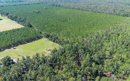 Land for sale in Suwannee County, Florida