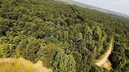 Farm and Ranch for sale in Clay County, Arkansas