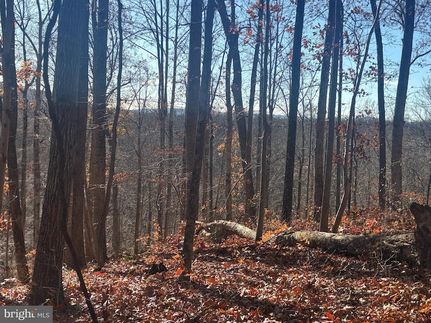 Farm and Ranch for sale in Loudoun County, Virginia