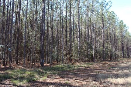 Land for sale in San Augustine County, Texas