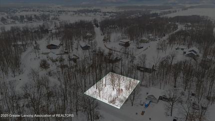 Undeveloped Land for sale in Gratiot County, Michigan