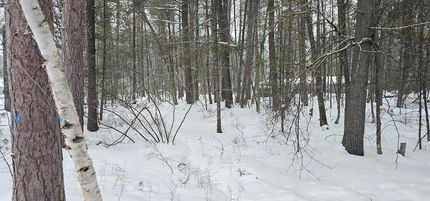 Undeveloped Land for sale in Roscommon County, Michigan