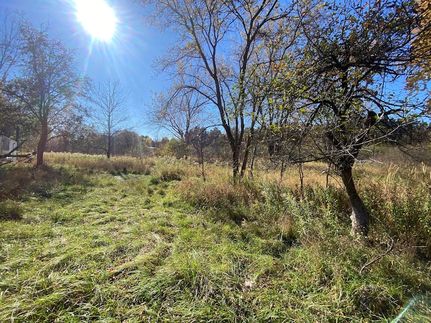 Timberland Property for sale in Montcalm County, Michigan