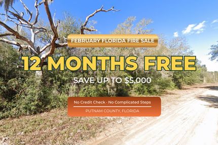Undeveloped Land for sale in Putnam County, Florida