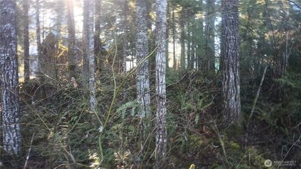 Undeveloped Land for sale in Lewis County, Washington