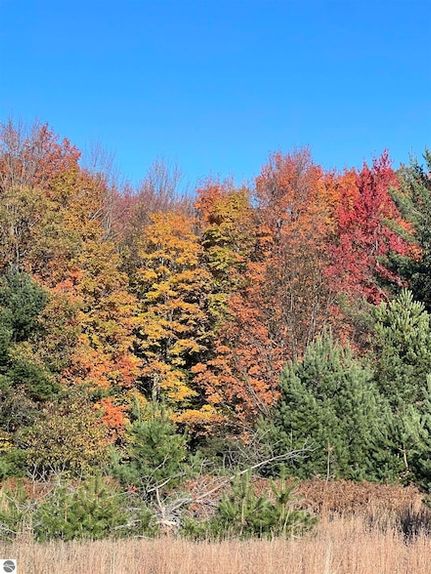 Farm and Ranch for sale in Kalkaska County, Michigan