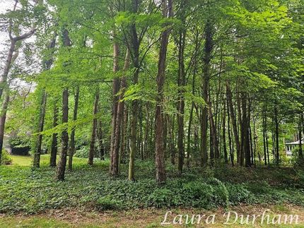 Homesite for sale in Allegan County, Michigan