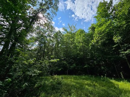 Land for sale in Haralson County, Georgia