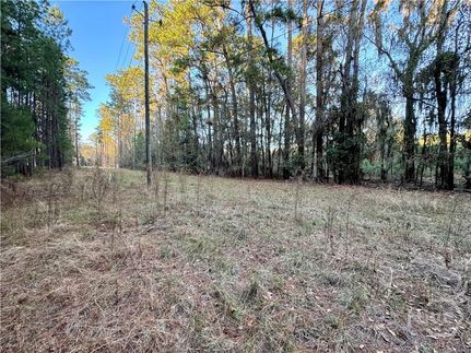 Farm and Ranch for sale in Chatham County, Georgia