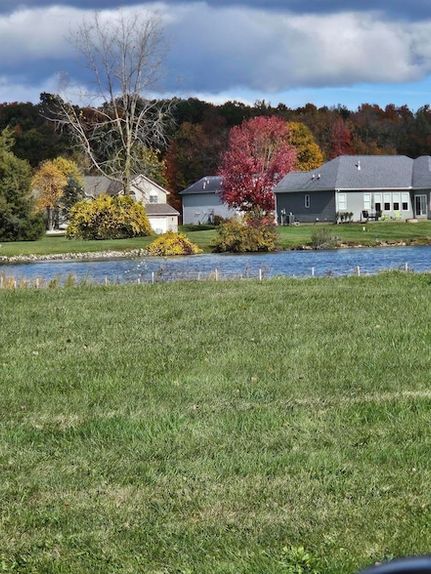 Undeveloped Land for sale in Lenawee County, Michigan