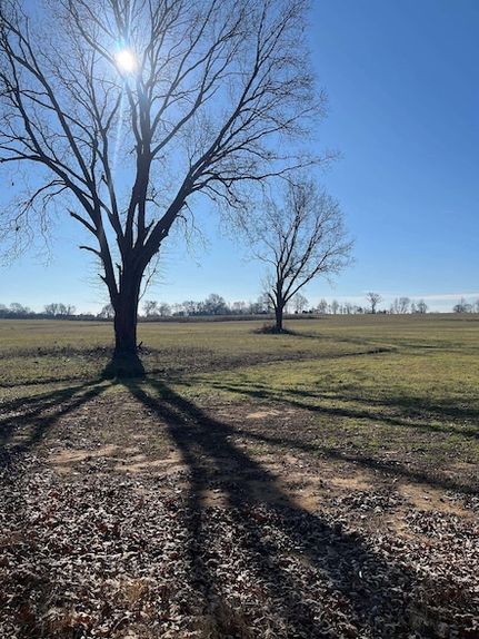 Farm and Ranch for sale in Tipton County, Tennessee