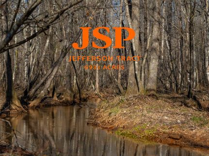 Timberland Property for sale in Marion County, Georgia
