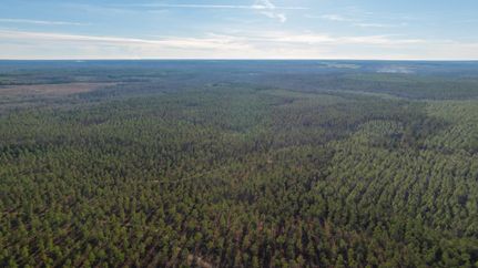 Land for sale in Webster County, Georgia