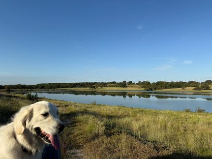 Land for sale in Coryell County, Texas