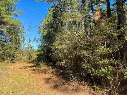 Land for sale in Tyler County, Texas