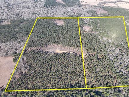 Land for sale in Trinity County, Texas