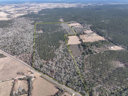 Land for sale in Trinity County, Texas