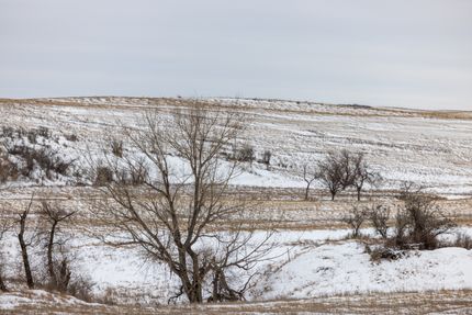 Farm and Ranch in Grant County, North Dakota