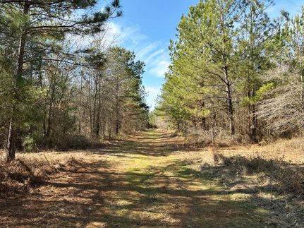 Land for sale in Burke County, Georgia
