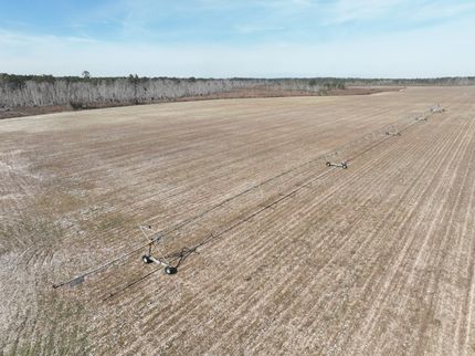 Land for sale in Bacon County, Georgia