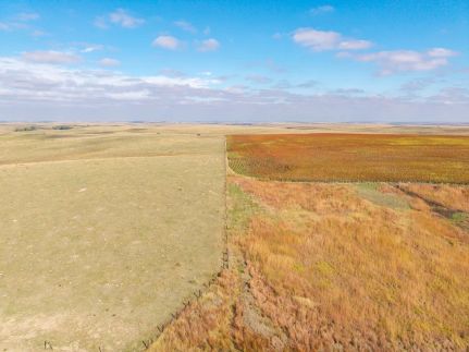 Land for sale in Graham County, Kansas