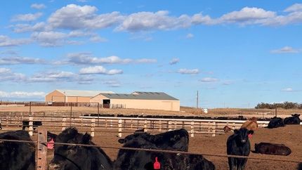 Farm and Ranch for sale in Dundy County, Nebraska