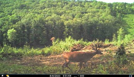 Farm and Ranch for sale in Scioto County, Ohio