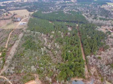 Commercial Property for sale in Pike County, Mississippi