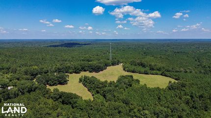 Undeveloped Land for sale in Wilcox County, Alabama