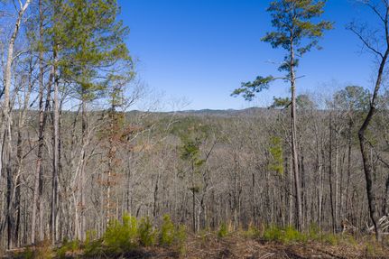 Land for sale in Gilmer County, Georgia