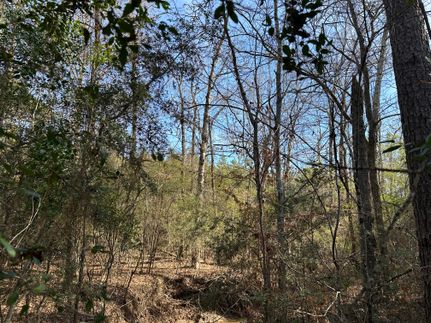 Land for sale in San Augustine County, Texas