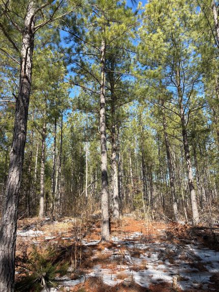 Undeveloped Land for sale in Charlotte County, Virginia