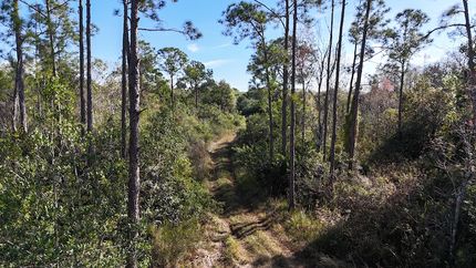 Farm and Ranch for sale in Collier County, Florida