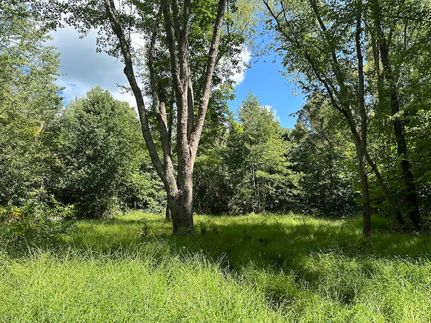 Timberland Property for sale in Washington County, Ohio