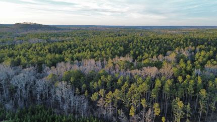 Land for sale in Lee County, Alabama