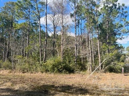 Farm and Ranch for sale in Santa Rosa County, Florida