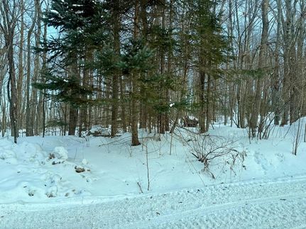 Farm and Ranch for sale in Forest County, Wisconsin