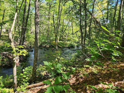 Undeveloped Land for sale in Waldo County, Maine