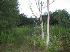 Undeveloped Land for sale in Chenango County, New York