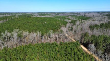 Land for sale in Lowndes County, Alabama