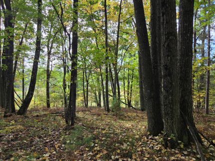 Land for sale in Marinette County, Wisconsin