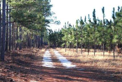 Recreational Property for sale in Aiken County, South Carolina