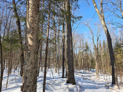 Undeveloped Land for sale in Sawyer County, Wisconsin