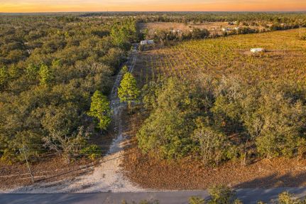 Land for sale in Levy County, Florida