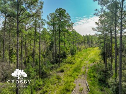 Timberland Property for sale in Twiggs County, Georgia