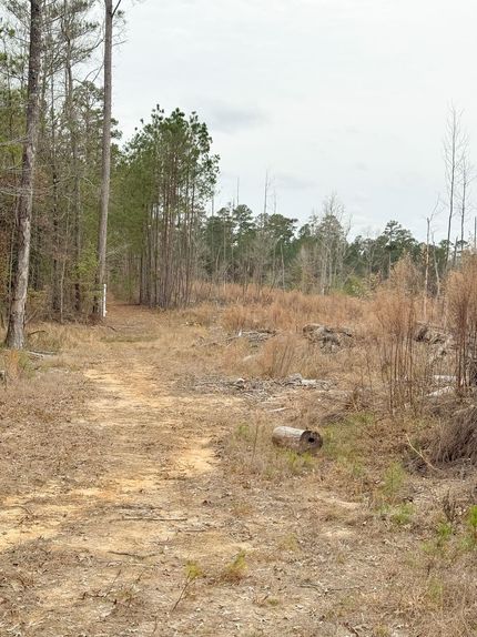 Land for sale in Ouachita County, Arkansas