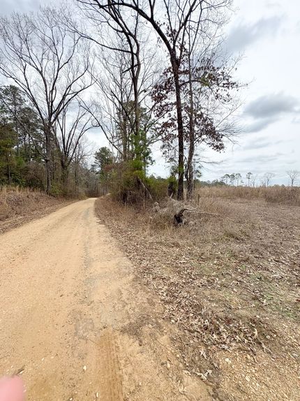 Farm and Ranch for sale in Ouachita County, Arkansas